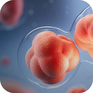 Трансплантация костного мозга